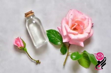گلاب اصل | فروشندگان قیمت مناسب گلاب اصل