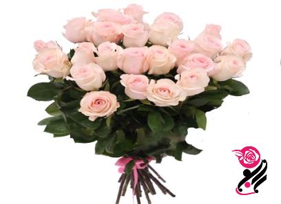 لیست قیمت گل محمدی سفید ۱۴۰۱